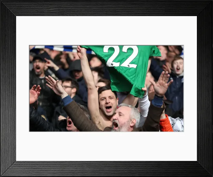 Framed Print : Premier League Showdown: Crystal Palace vs. Brighton and Hove Albion at Selhurst Park (9th March 2019)