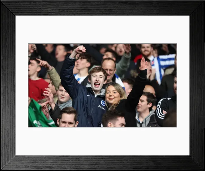 Framed Print : Premier League Showdown: Crystal Palace vs. Brighton and Hove Albion at Selhurst Park (9th March 2019) Framed Print : Premier League Showdown: Crystal Palace vs. Brighton and Hove Albion at Selhurst Park (9th March 2019)