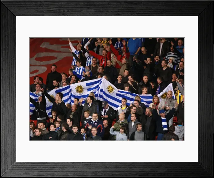 Framed Print : Brighton & Hove Albion at Southampton: 2009-10 Away Game Framed Print : Brighton & Hove Albion at Southampton: 2009-10 Away Game