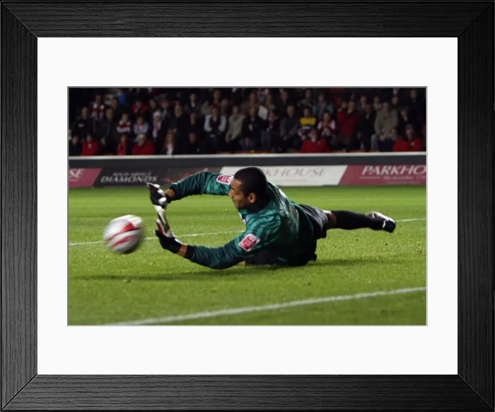 Framed Print : Brighton & Hove Albion Away at Southampton: 2009-10 Season Framed Print : Brighton & Hove Albion Away at Southampton: 2009-10 Season