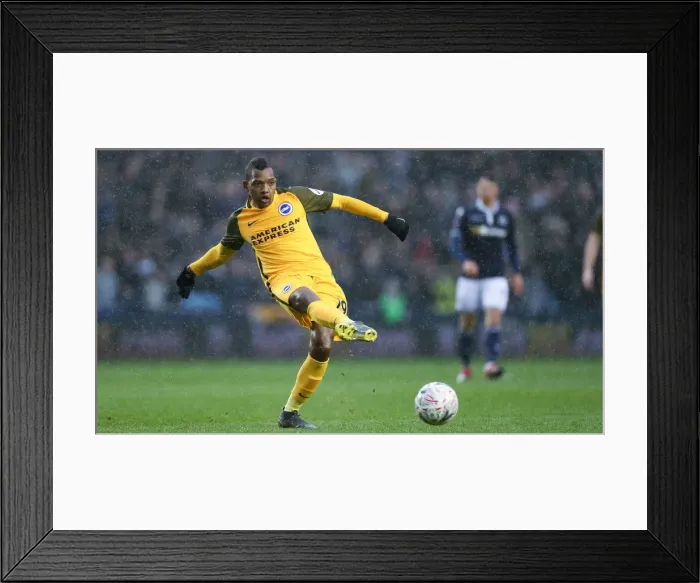 Framed Print : Brighton and Hove Albion vs. Millwall: FA Cup Quarterfinal Battle at The Den (17MAR19) Framed Print : Brighton and Hove Albion vs. Millwall: FA Cup Quarterfinal Battle at The Den (17MAR19)