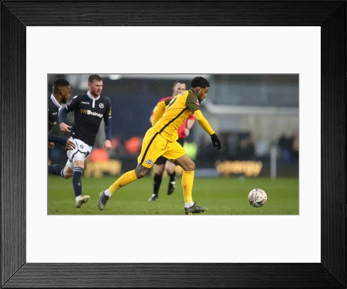 Framed Print : Brighton and Hove Albion vs. Millwall: FA Cup Quarterfinal Battle at The Den (17MAR19) Framed Print : Brighton and Hove Albion vs. Millwall: FA Cup Quarterfinal Battle at The Den (17MAR19)