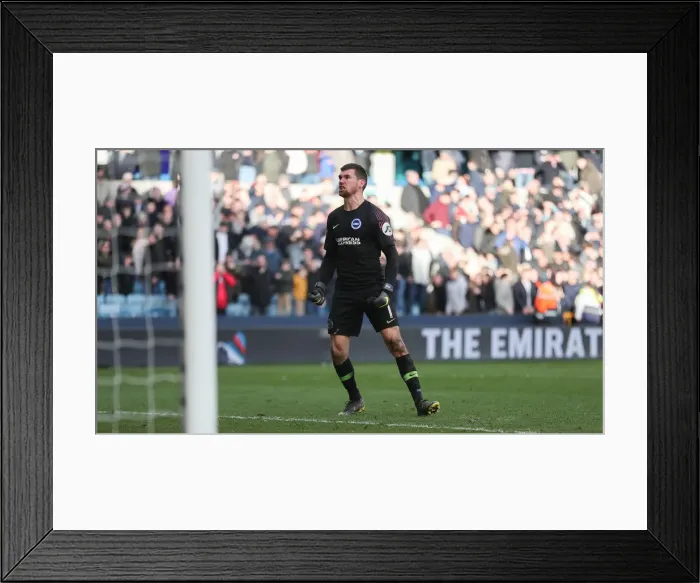 Framed Print : Brighton and Hove Albion vs. Millwall: FA Cup Quarterfinals Clash (17MAR19)
