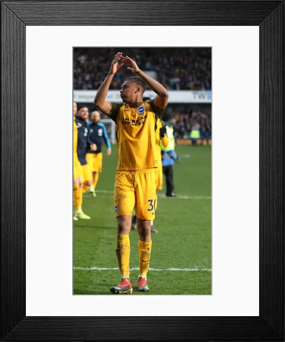 Framed Print : Brighton and Hove Albion vs. Millwall: FA Cup Quarterfinal Battle at The Den (17Mar19) Framed Print : Brighton and Hove Albion vs. Millwall: FA Cup Quarterfinal Battle at The Den (17Mar19)