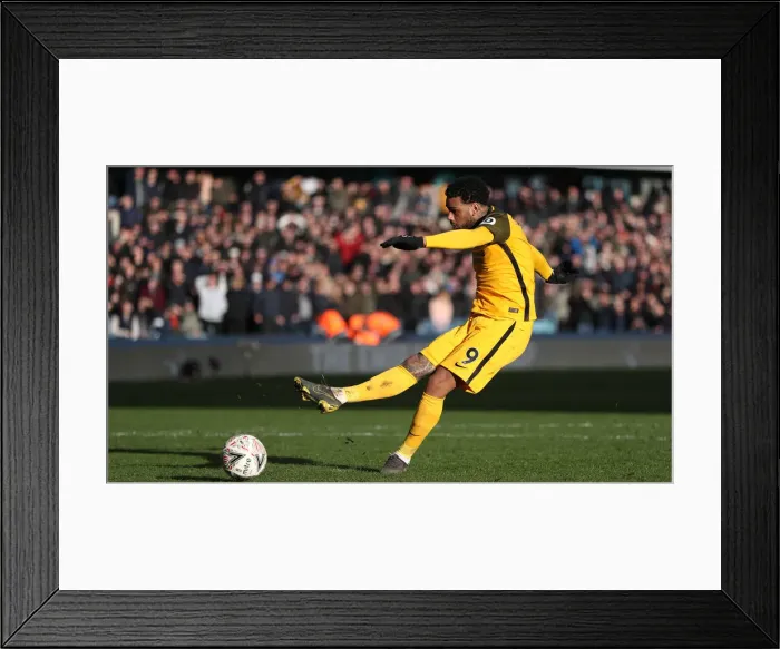 Framed Print : Brighton and Hove Albion vs. Millwall: FA Cup Quarterfinal Battle at The Den (17MAR19) Framed Print : Brighton and Hove Albion vs. Millwall: FA Cup Quarterfinal Battle at The Den (17MAR19)