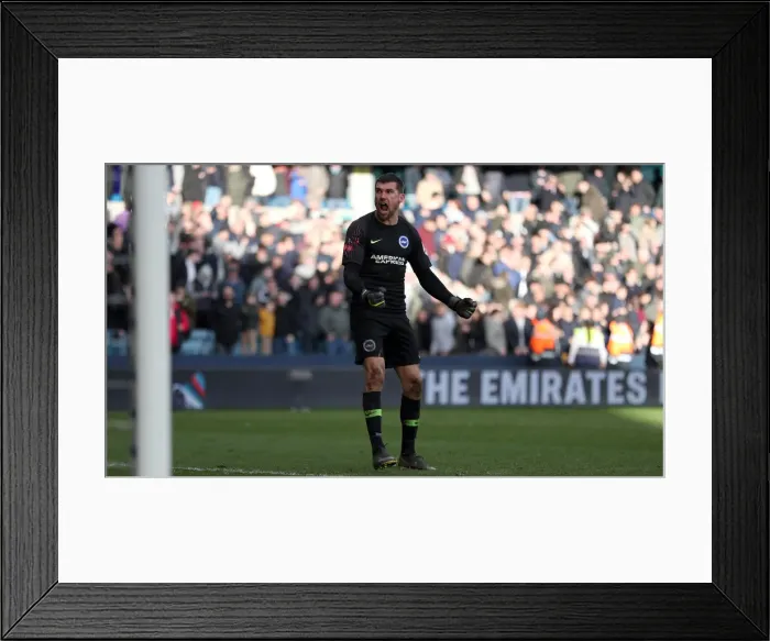 Framed Print : Brighton and Hove Albion vs. Millwall: FA Cup Quarterfinal Battle at The Den (17Mar19) Framed Print : Brighton and Hove Albion vs. Millwall: FA Cup Quarterfinal Battle at The Den (17Mar19)