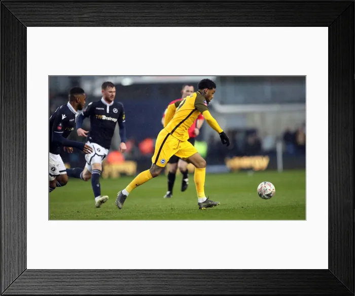 Framed Print : Brighton and Hove Albion vs Millwall: FA Cup Quarter-Final Battle at The Den (17Mar19) Framed Print : Brighton and Hove Albion vs Millwall: FA Cup Quarter-Final Battle at The Den (17Mar19)