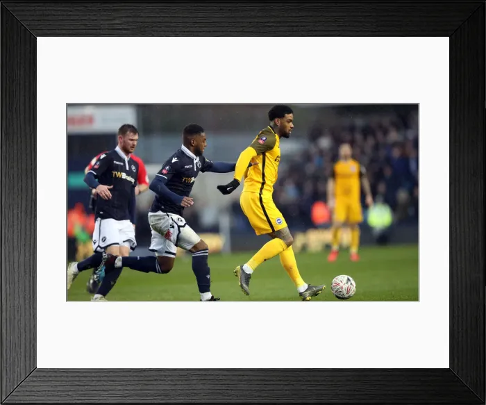 Framed Print : FA Cup Quarterfinal Showdown: Millwall vs. Brighton and Hove Albion at The Den (17MAR19) Framed Print : FA Cup Quarterfinal Showdown: Millwall vs. Brighton and Hove Albion at The Den (17MAR19)