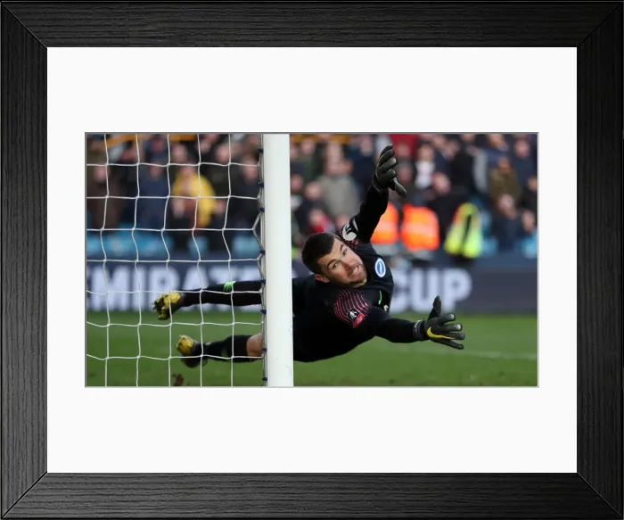 Framed Print : Brighton and Hove Albion vs. Millwall: FA Cup Quarterfinal Showdown at The Den (17March19)