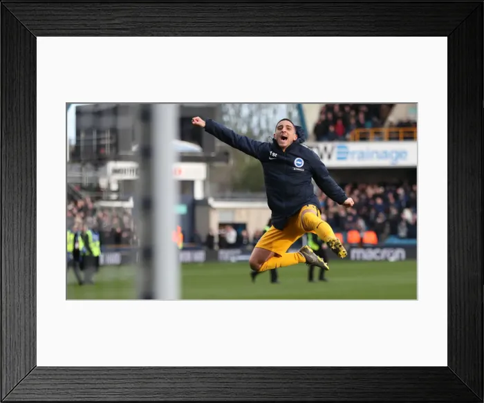 Framed Print : Brighton and Hove Albion vs. Millwall: FA Cup Quarterfinal Battle at The Den (17MAR19) Framed Print : Brighton and Hove Albion vs. Millwall: FA Cup Quarterfinal Battle at The Den (17MAR19)