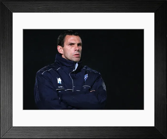 Framed Print : Brighton & Hove Albion vs Rushden & Diamonds (FA Cup, 2009-10): Home Game Framed Print : Brighton & Hove Albion vs Rushden & Diamonds (FA Cup, 2009-10): Home Game