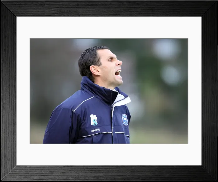 Framed Print : Brighton & Hove Albion vs Rushden & Diamonds (FA Cup, 2009-10): Home Game Framed Print : Brighton & Hove Albion vs Rushden & Diamonds (FA Cup, 2009-10): Home Game