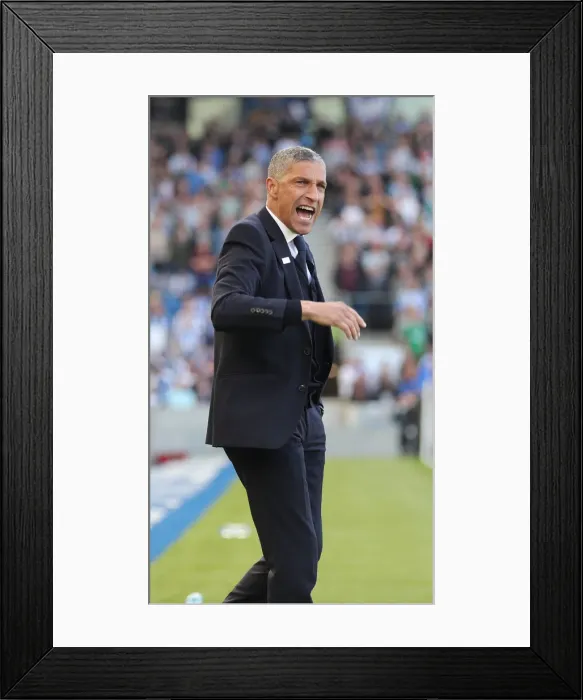 Framed Print : Brighton and Hove Albion vs. Southampton: Premier League Showdown at American Express Community Stadium (30MAR19) Framed Print : Brighton and Hove Albion vs. Southampton: Premier League Showdown at American Express Community Stadium (30MAR19)