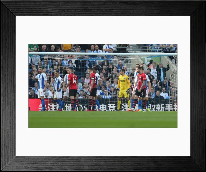 Framed Print : Brighton and Hove Albion vs. Southampton: Premier League Showdown at American Express Community Stadium (30MAR19) Framed Print : Brighton and Hove Albion vs. Southampton: Premier League Showdown at American Express Community Stadium (30MAR19)