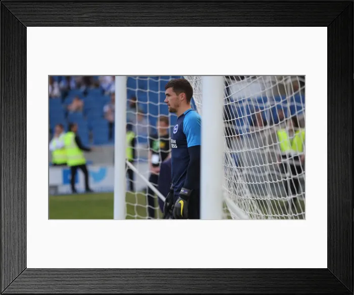 Framed Print : Brighton and Hove Albion vs. Southampton: Premier League Battle at American Express Community Stadium (30MAR19) Framed Print : Brighton and Hove Albion vs. Southampton: Premier League Battle at American Express Community Stadium (30MAR19)
