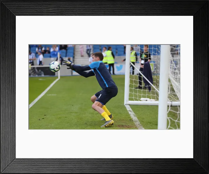 Framed Print : Brighton and Hove Albion vs Southampton: Premier League Battle at American Express Community Stadium (30MAR19) Framed Print : Brighton and Hove Albion vs Southampton: Premier League Battle at American Express Community Stadium (30MAR19)