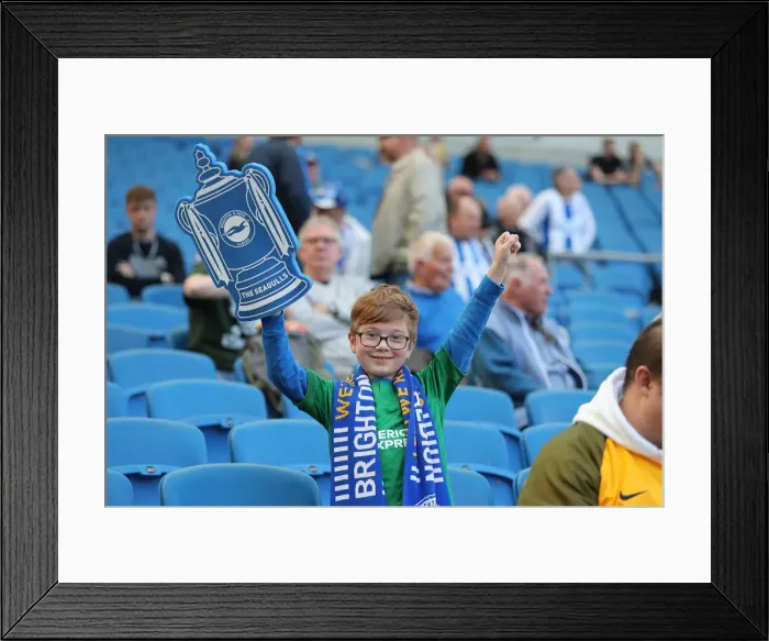 Framed Print : Brighton and Hove Albion vs. Southampton: Premier League Battle at American Express Community Stadium (30MAR19) Framed Print : Brighton and Hove Albion vs. Southampton: Premier League Battle at American Express Community Stadium (30MAR19)