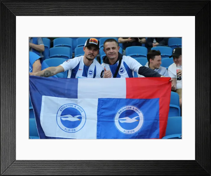 Framed Print : Brighton and Hove Albion vs. Southampton: Premier League Showdown at American Express Community Stadium (30MAR19) Framed Print : Brighton and Hove Albion vs. Southampton: Premier League Showdown at American Express Community Stadium (30MAR19)