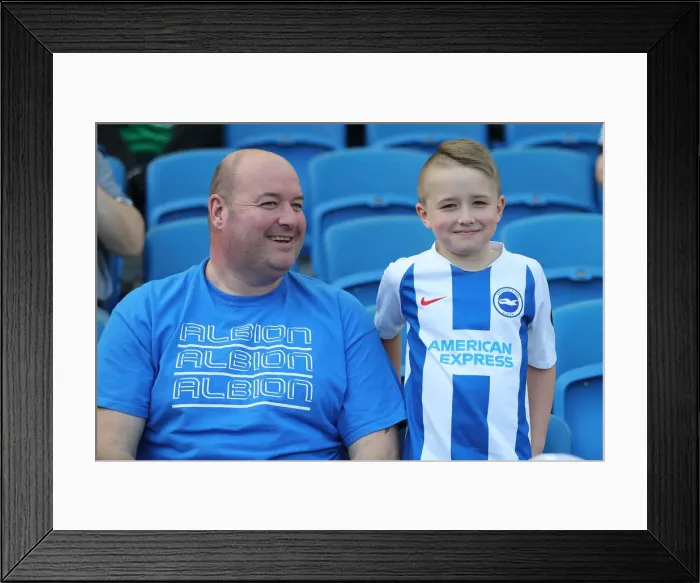 Framed Print : Brighton and Hove Albion vs. Southampton: Premier League Showdown at American Express Community Stadium (30MAR19) Framed Print : Brighton and Hove Albion vs. Southampton: Premier League Showdown at American Express Community Stadium (30MAR19)