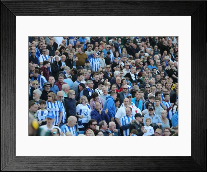 Framed Print : Brighton and Hove Albion vs. Southampton: Premier League Showdown at American Express Community Stadium (30MAR19) Framed Print : Brighton and Hove Albion vs. Southampton: Premier League Showdown at American Express Community Stadium (30MAR19)