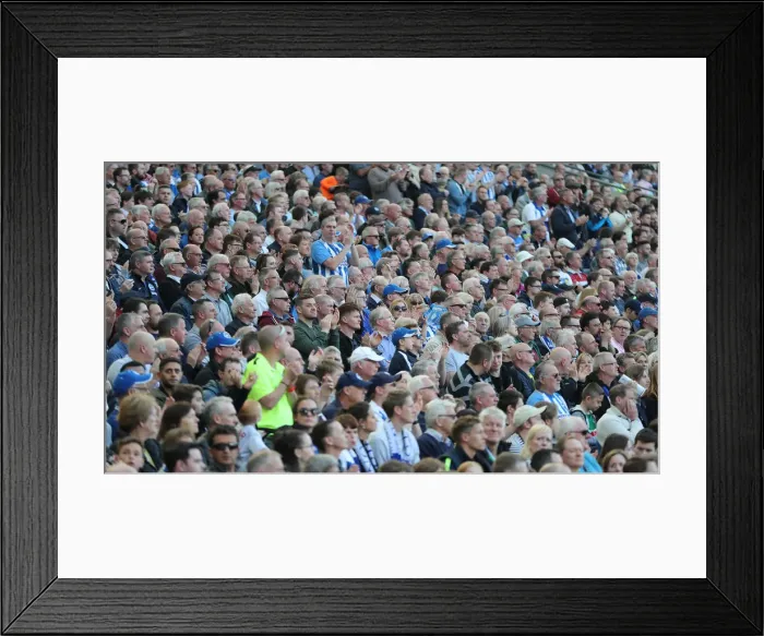 Framed Print : Brighton and Hove Albion vs. Southampton: Premier League Showdown at American Express Community Stadium (30MAR19) Framed Print : Brighton and Hove Albion vs. Southampton: Premier League Showdown at American Express Community Stadium (30MAR19)