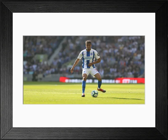 Framed Print : Brighton and Hove Albion vs. Southampton: Premier League Showdown at American Express Community Stadium (30MAR19) Framed Print : Brighton and Hove Albion vs. Southampton: Premier League Showdown at American Express Community Stadium (30MAR19)