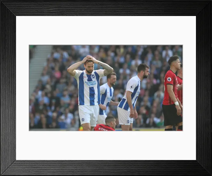 Framed Print : Brighton and Hove Albion vs. Southampton: Premier League Showdown at American Express Community Stadium (30MAR19) Framed Print : Brighton and Hove Albion vs. Southampton: Premier League Showdown at American Express Community Stadium (30MAR19)
