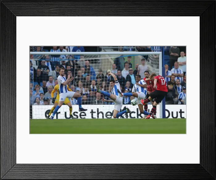 Framed Print : Brighton and Hove Albion vs. Southampton: Premier League Showdown at American Express Community Stadium (30MAR19) Framed Print : Brighton and Hove Albion vs. Southampton: Premier League Showdown at American Express Community Stadium (30MAR19)