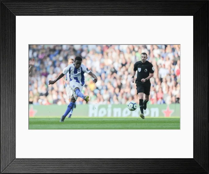 Framed Print : Brighton and Hove Albion vs. Southampton: Premier League Showdown at American Express Community Stadium (30MAR19) Framed Print : Brighton and Hove Albion vs. Southampton: Premier League Showdown at American Express Community Stadium (30MAR19)