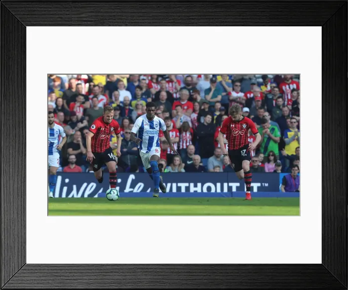 Framed Print : Brighton and Hove Albion vs. Southampton: Premier League Showdown at American Express Community Stadium (30MAR19) Framed Print : Brighton and Hove Albion vs. Southampton: Premier League Showdown at American Express Community Stadium (30MAR19)