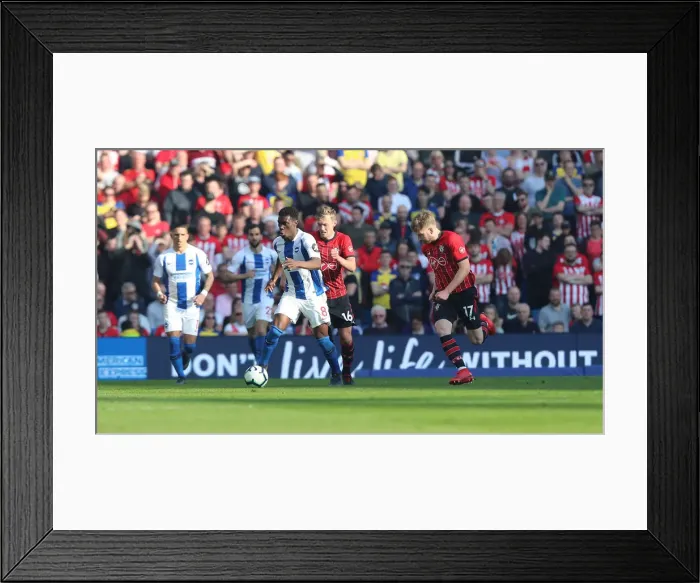 Framed Print : Brighton and Hove Albion vs. Southampton: Premier League Battle at American Express Community Stadium (30MAR19)