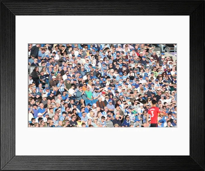 Framed Print : Premier League Showdown: Brighton & Hove Albion vs. Southampton (30MAR19) Framed Print : Premier League Showdown: Brighton & Hove Albion vs. Southampton (30MAR19)