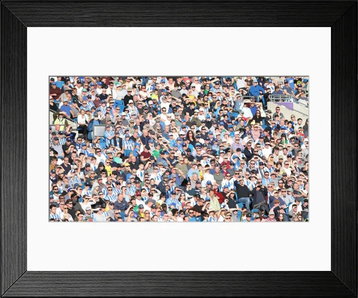 Framed Print : Brighton and Hove Albion vs. Southampton: Premier League Battle at American Express Community Stadium (30.03.19)