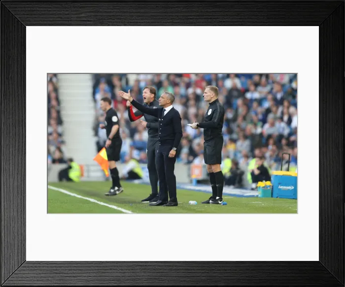 Framed Print : Brighton and Hove Albion vs. Southampton: Premier League Showdown at American Express Community Stadium (30MAR19) Framed Print : Brighton and Hove Albion vs. Southampton: Premier League Showdown at American Express Community Stadium (30MAR19)