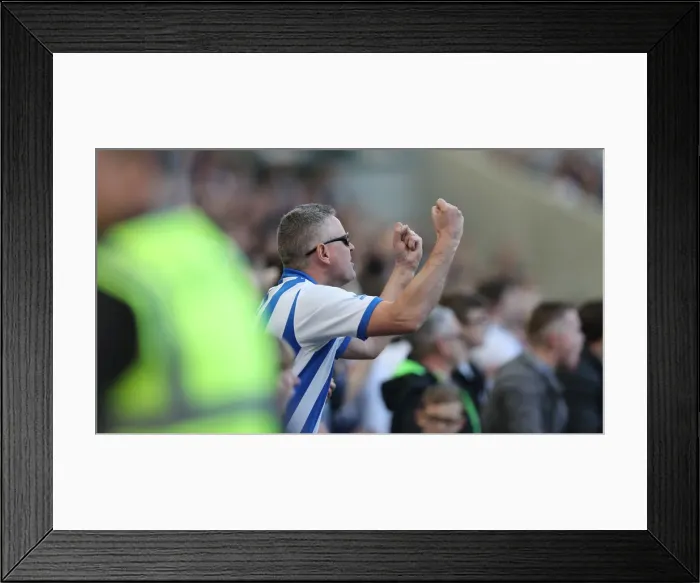 Framed Print : Brighton and Hove Albion vs. Southampton: Premier League Showdown at American Express Community Stadium (30MAR19) Framed Print : Brighton and Hove Albion vs. Southampton: Premier League Showdown at American Express Community Stadium (30MAR19)
