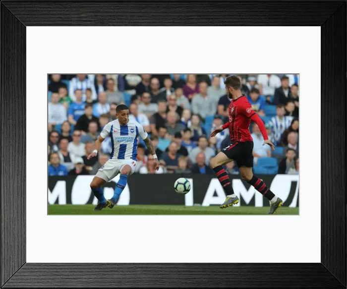 Framed Print : Brighton and Hove Albion vs. Southampton: Premier League Showdown at American Express Community Stadium (30MAR19) Framed Print : Brighton and Hove Albion vs. Southampton: Premier League Showdown at American Express Community Stadium (30MAR19)