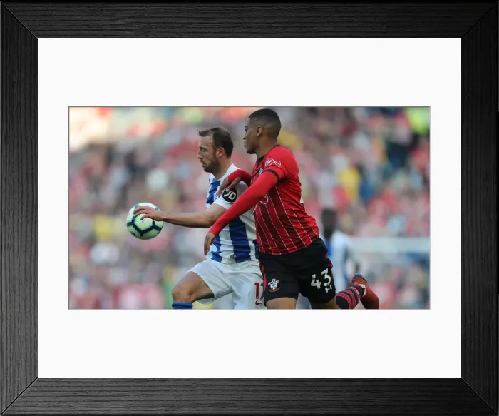 Framed Print : Brighton and Hove Albion vs. Southampton: Premier League Showdown at American Express Community Stadium (30MAR19) Framed Print : Brighton and Hove Albion vs. Southampton: Premier League Showdown at American Express Community Stadium (30MAR19)