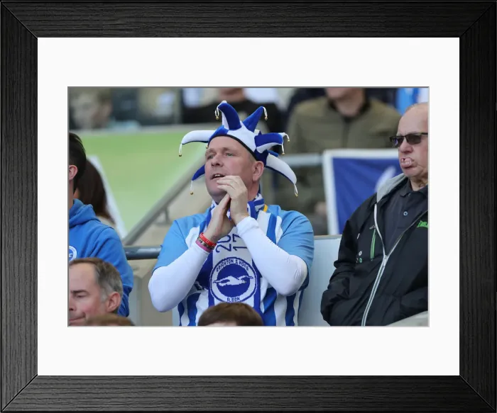 Framed Print : Brighton and Hove Albion vs. Southampton: Premier League Showdown at American Express Community Stadium (30MAR19) Framed Print : Brighton and Hove Albion vs. Southampton: Premier League Showdown at American Express Community Stadium (30MAR19)