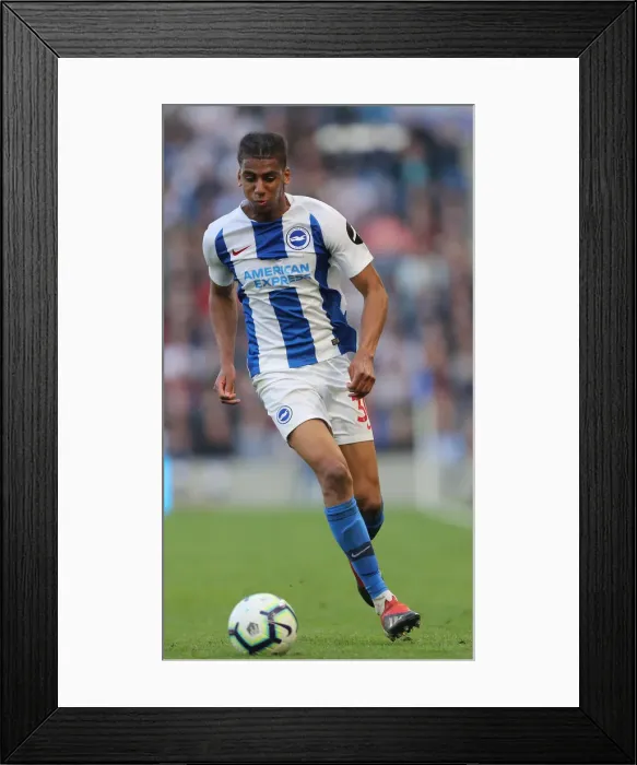 Framed Print : Brighton and Hove Albion vs. Southampton: Premier League Battle at American Express Community Stadium (30MAR19) Framed Print : Brighton and Hove Albion vs. Southampton: Premier League Battle at American Express Community Stadium (30MAR19)