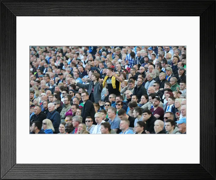 Framed Print : Brighton and Hove Albion vs. Southampton: Premier League Battle at American Express Community Stadium (30MAR19) Framed Print : Brighton and Hove Albion vs. Southampton: Premier League Battle at American Express Community Stadium (30MAR19)