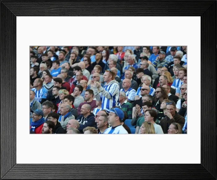 Framed Print : Brighton and Hove Albion vs. Southampton: Premier League Showdown at American Express Community Stadium (30MAR19) Framed Print : Brighton and Hove Albion vs. Southampton: Premier League Showdown at American Express Community Stadium (30MAR19)