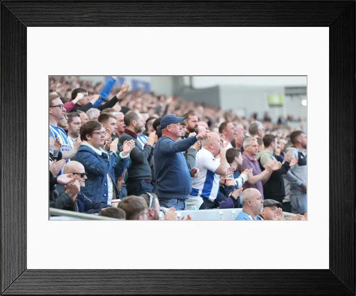 Framed Print : Brighton and Hove Albion vs. Southampton: Premier League Showdown at American Express Community Stadium (30MAR19) Framed Print : Brighton and Hove Albion vs. Southampton: Premier League Showdown at American Express Community Stadium (30MAR19)