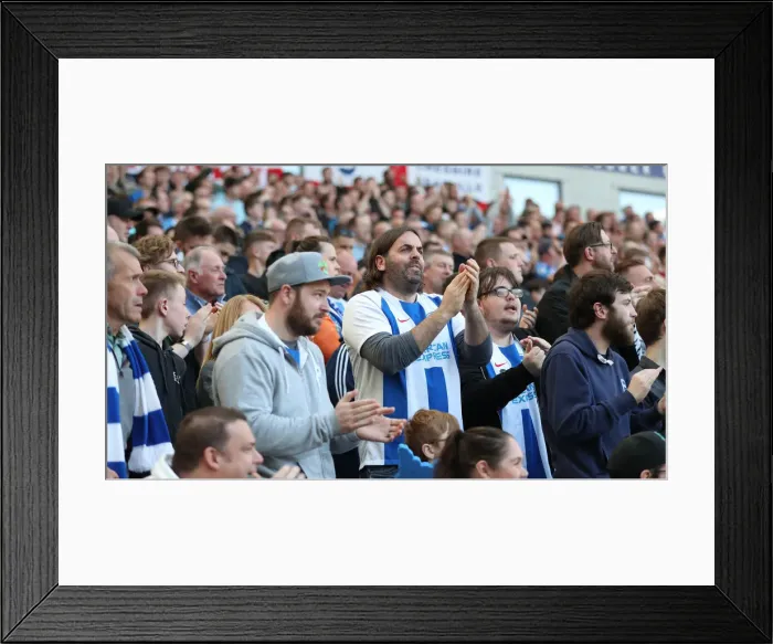 Framed Print : Brighton and Hove Albion vs. Southampton: Premier League Battle at American Express Community Stadium (30MAR19) Framed Print : Brighton and Hove Albion vs. Southampton: Premier League Battle at American Express Community Stadium (30MAR19)