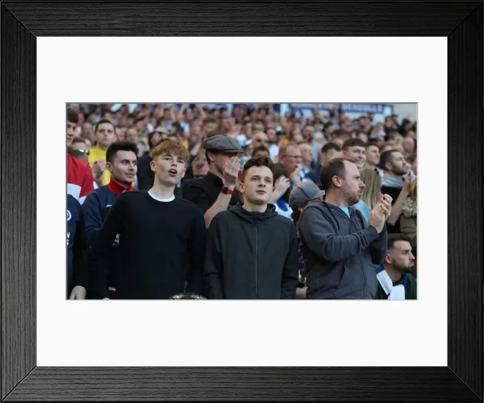 Framed Print : Brighton and Hove Albion vs. Southampton: Premier League Battle at American Express Community Stadium (30MAR19) Framed Print : Brighton and Hove Albion vs. Southampton: Premier League Battle at American Express Community Stadium (30MAR19)