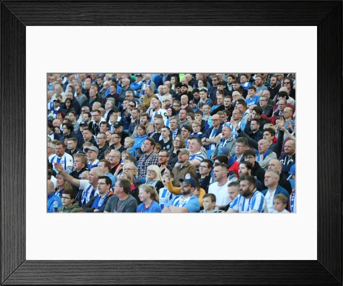 Framed Print : Brighton and Hove Albion vs. Southampton: Premier League Showdown at American Express Community Stadium (30MAR19) Framed Print : Brighton and Hove Albion vs. Southampton: Premier League Showdown at American Express Community Stadium (30MAR19)