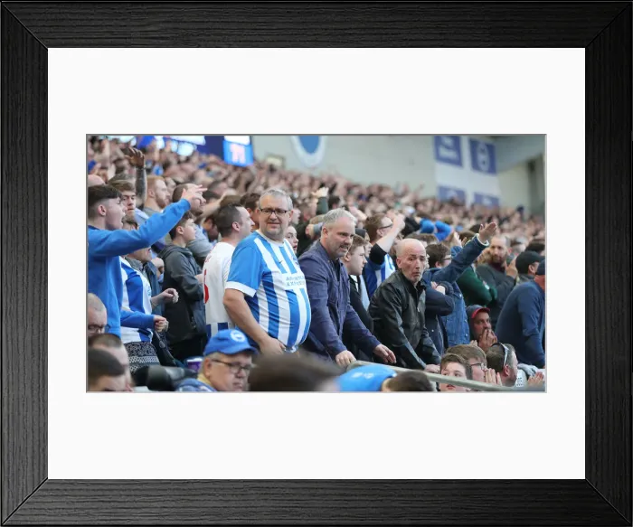 Framed Print : Premier League Showdown: Brighton & Hove Albion vs. Southampton (30MAR19) - American Express Community Stadium Framed Print : Premier League Showdown: Brighton & Hove Albion vs. Southampton (30MAR19) - American Express Community Stadium