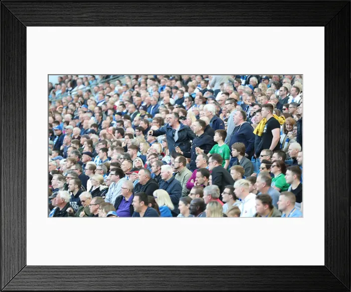 Framed Print : Brighton and Hove Albion vs. Southampton: Premier League Showdown at American Express Community Stadium (30MAR19) Framed Print : Brighton and Hove Albion vs. Southampton: Premier League Showdown at American Express Community Stadium (30MAR19)