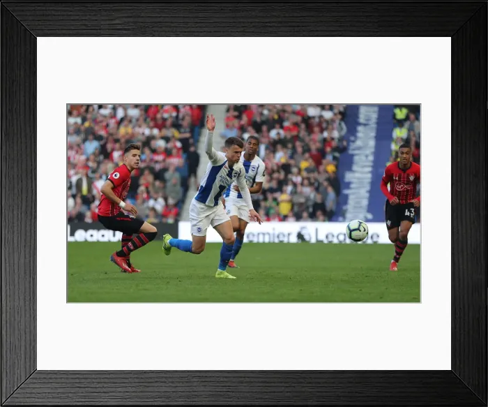 Framed Print : Brighton and Hove Albion vs. Southampton: Premier League Showdown at American Express Community Stadium (30MAR19) Framed Print : Brighton and Hove Albion vs. Southampton: Premier League Showdown at American Express Community Stadium (30MAR19)
