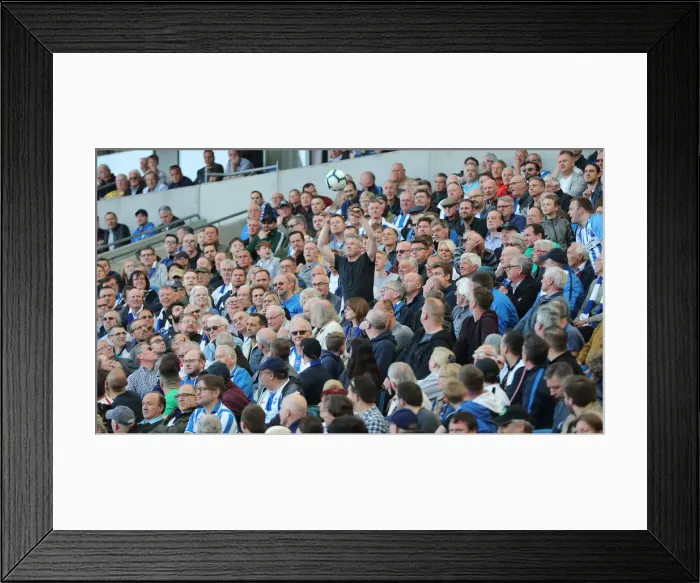 Framed Print : March Showdown: Brighton & Hove Albion vs. Southampton in the Premier League (30MAR19) Framed Print : March Showdown: Brighton & Hove Albion vs. Southampton in the Premier League (30MAR19)