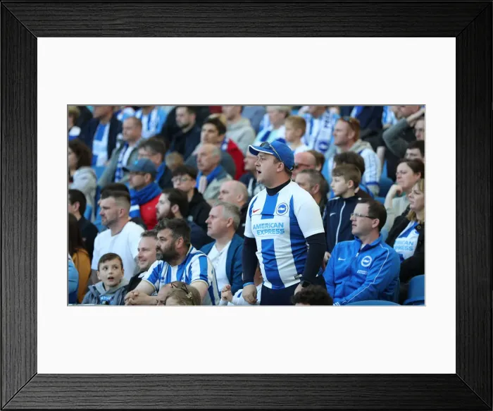 Framed Print : Premier League Showdown: Brighton & Hove Albion vs. Southampton (30MAR19) Framed Print : Premier League Showdown: Brighton & Hove Albion vs. Southampton (30MAR19)